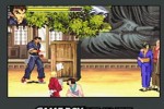 Gekido Advance: Kintaro's Revenge (Game Boy Advance)