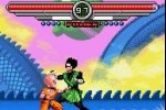 Dragon Ball Z: Taiketsu (Game Boy Advance)