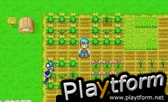 Harvest Moon: Friends of Mineral Town (Game Boy Advance)