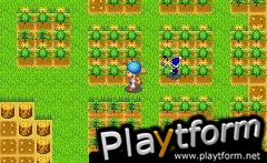 Harvest Moon: Friends of Mineral Town (Game Boy Advance)