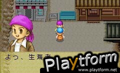 Harvest Moon: Friends of Mineral Town (Game Boy Advance)