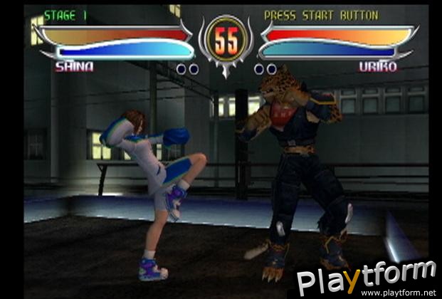 Bloody Roar 4 (PlayStation 2)