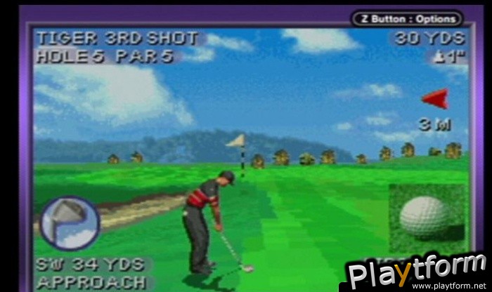 Tiger Woods PGA Tour 2004 (Game Boy Advance)