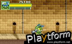 Teenage Mutant Ninja Turtles (Game Boy Advance)