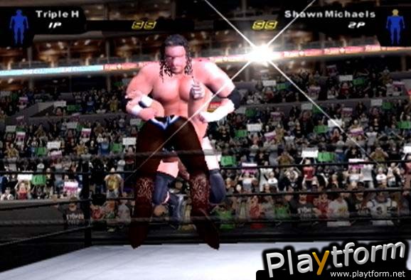 WWE SmackDown! Here Comes the Pain (PlayStation 2)