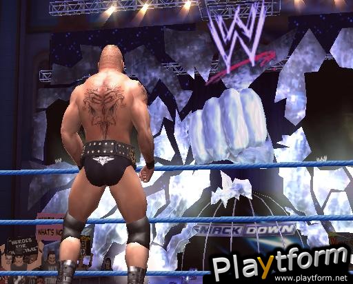 WWE SmackDown! Here Comes the Pain (PlayStation 2)