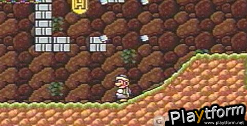 Super Mario Advance 4: Super Mario Bros. 3 (Game Boy Advance)