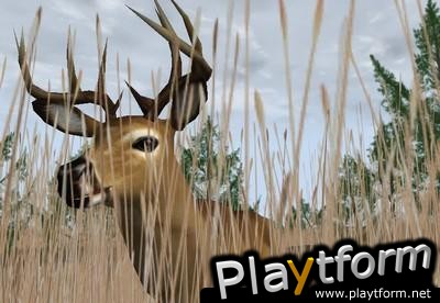 Deer Hunter 2004 (PC)