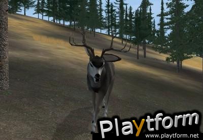 Deer Hunter 2004 (PC)