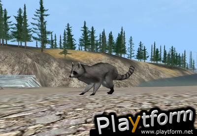 Deer Hunter 2004 (PC)