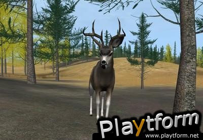 Deer Hunter 2004 (PC)