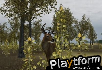 Deer Hunter 2004 (PC)