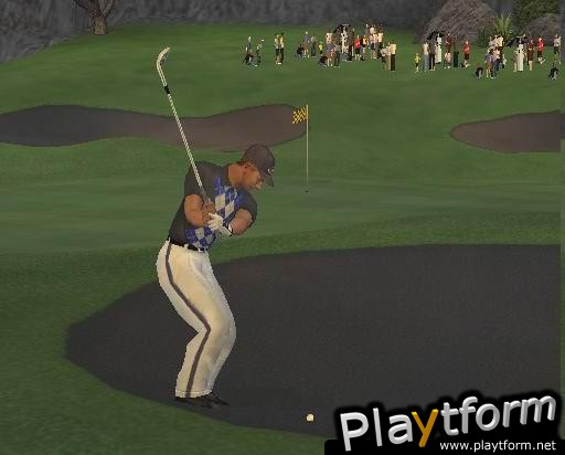 Tiger Woods PGA Tour 2004 (PlayStation 2)