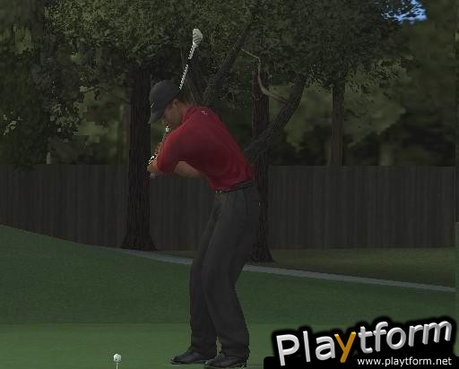 Tiger Woods PGA Tour 2004 (PlayStation 2)