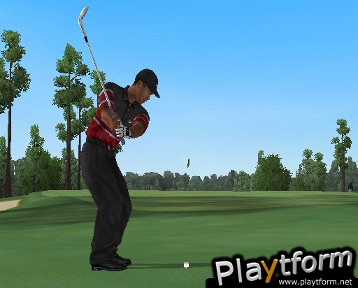 Tiger Woods PGA Tour 2004 (GameCube)