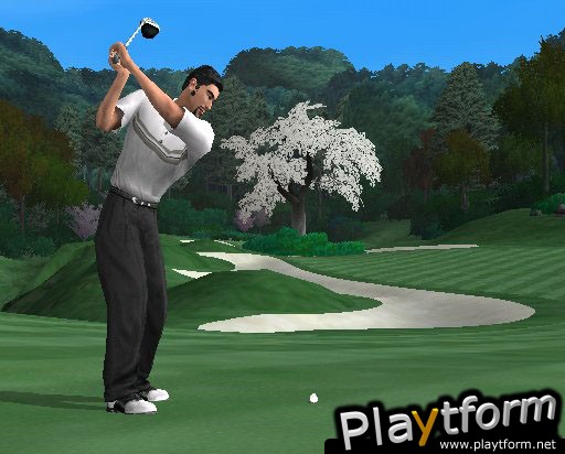 Tiger Woods PGA Tour 2004 (GameCube)