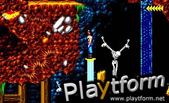 Blackthorne (Game Boy Advance)