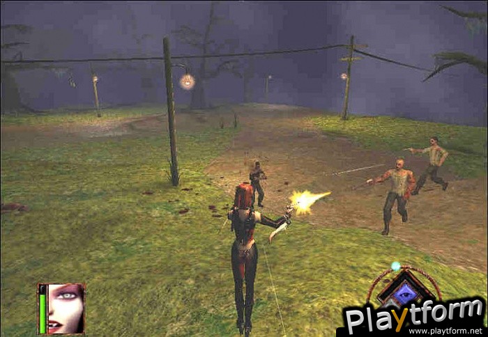 BloodRayne (PC)