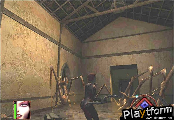 BloodRayne (PC)