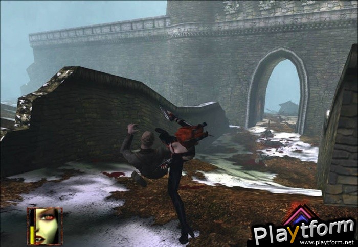 BloodRayne (PC)