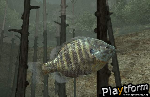 Reel Fishing III (PlayStation 2)