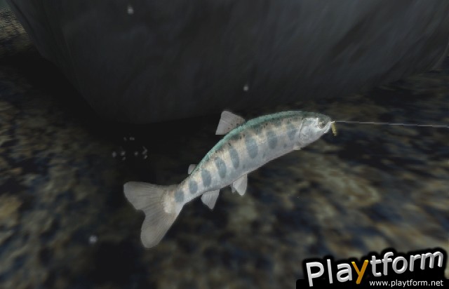 Reel Fishing III (PlayStation 2)