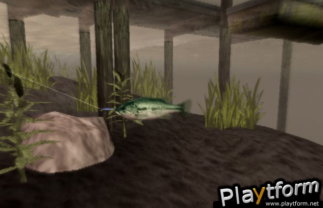 Reel Fishing III (PlayStation 2)