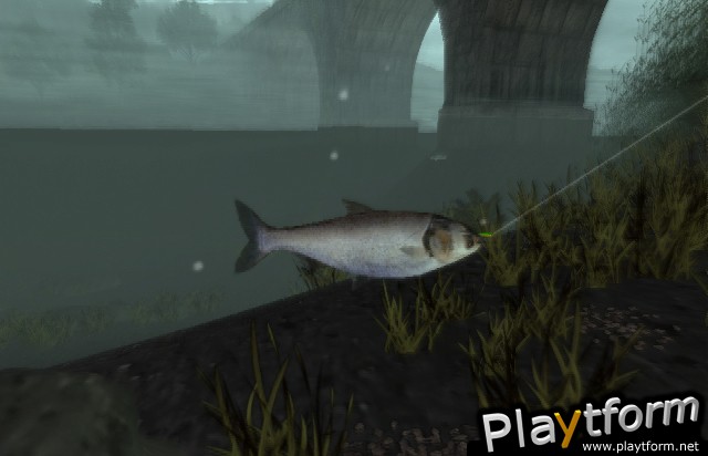 Reel Fishing III (PlayStation 2)