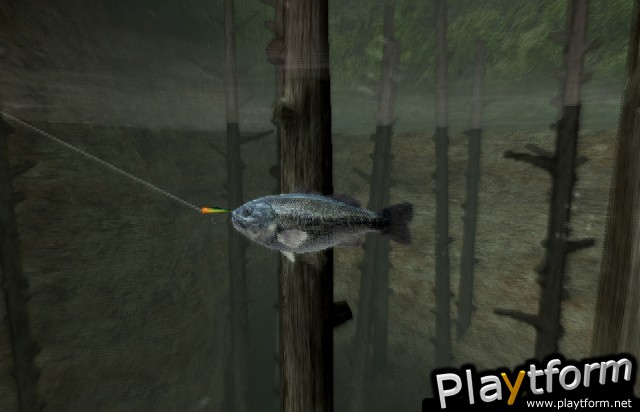 Reel Fishing III (PlayStation 2)