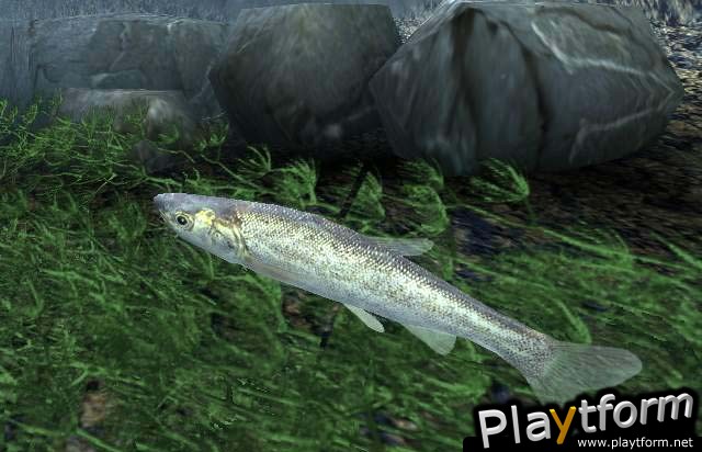 Reel Fishing III (PlayStation 2)