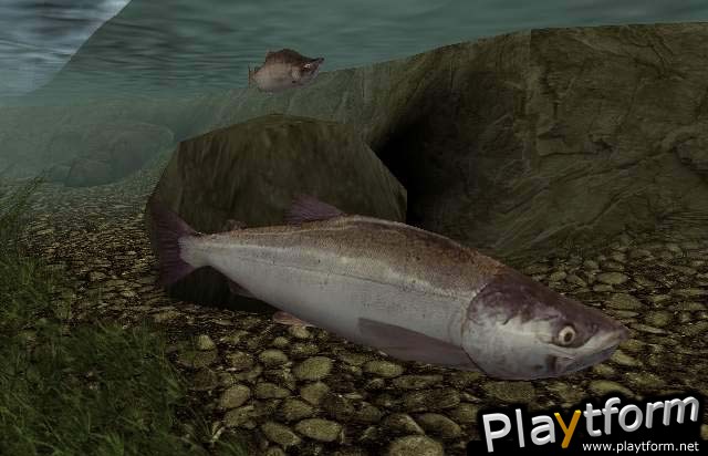 Reel Fishing III (PlayStation 2)