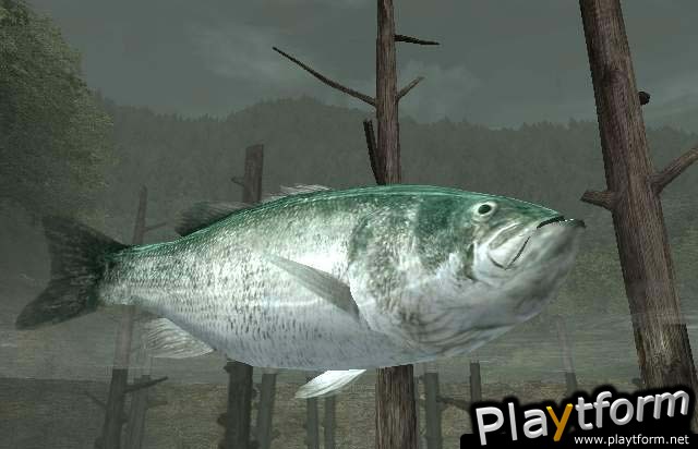 Reel Fishing III (PlayStation 2)