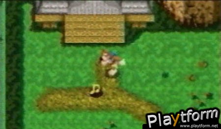 Banjo-Kazooie: Grunty's Revenge (Game Boy Advance)