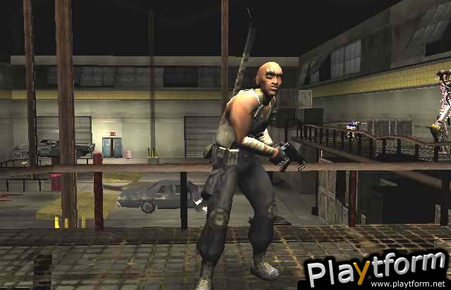 Hunter: The Reckoning Wayward (PlayStation 2)