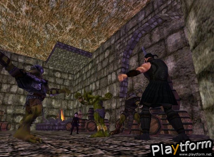 EverQuest: Lost Dungeons of Norrath (PC)