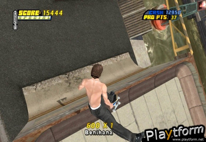 Tony Hawk's Pro Skater 4 (PC)