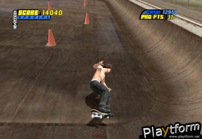 Tony Hawk's Pro Skater 4 (PC)