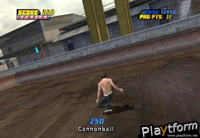 Tony Hawk's Pro Skater 4 (PC)