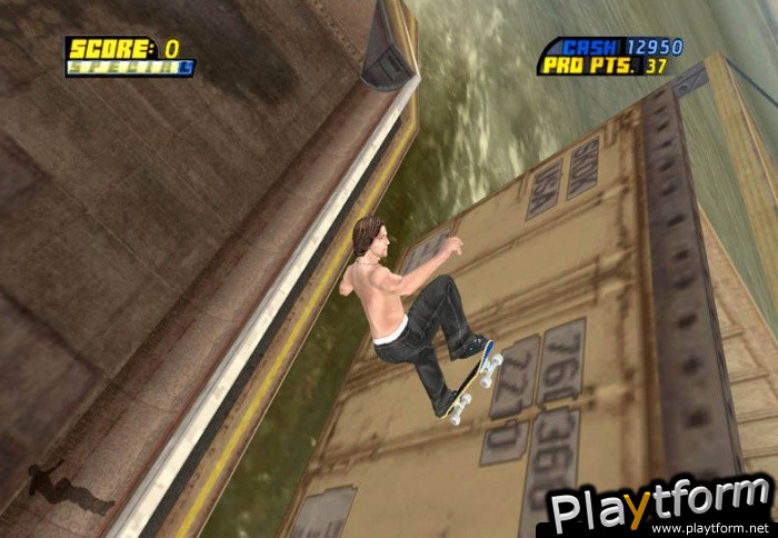 Tony Hawk's Pro Skater 4 (PC)