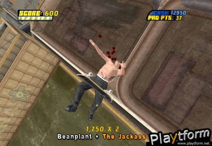 Tony Hawk's Pro Skater 4 (PC)