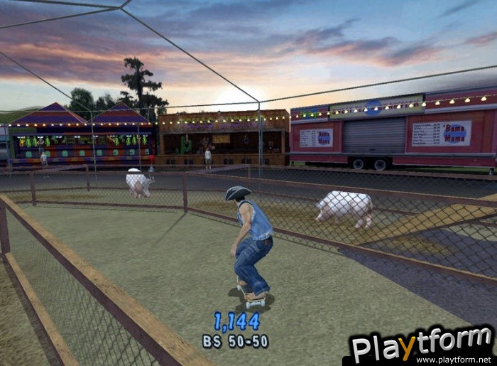 Tony Hawk's Pro Skater 4 (PC)