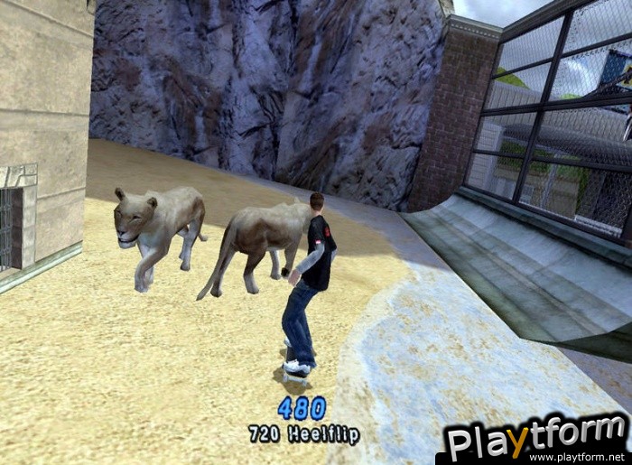 Tony Hawk's Pro Skater 4 (PC)