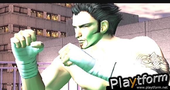 Virtua Fighter 4: Evolution (PlayStation 2)