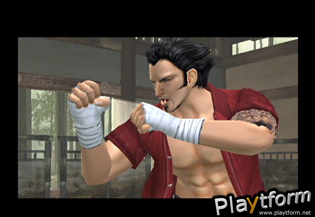 Virtua Fighter 4: Evolution (PlayStation 2)