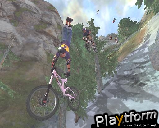 Downhill Domination (PlayStation 2)