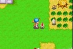 Harvest Moon: Friends of Mineral Town (Game Boy Advance)