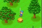 Harvest Moon: Friends of Mineral Town (Game Boy Advance)