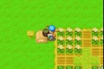 Harvest Moon: Friends of Mineral Town (Game Boy Advance)