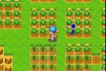 Harvest Moon: Friends of Mineral Town (Game Boy Advance)