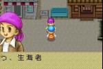 Harvest Moon: Friends of Mineral Town (Game Boy Advance)